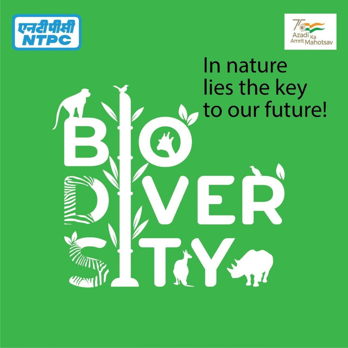 NTPC releases Biodiversity Policy for conservation and restoration of biodiversity
