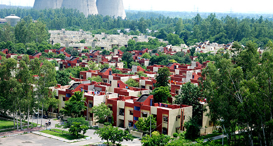 Afforestation programme 1