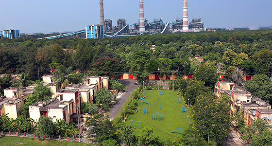 Afforestation programme 2